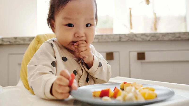 Piring Gizi Ibu Berubah, Timbangan Anak Belum Dicek