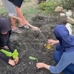 Warga menanam tanaman obat keluarga bersama mahasiswa MMD Universitas Brawijaya di Lamongan