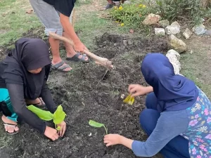 Warga menanam tanaman obat keluarga bersama mahasiswa MMD Universitas Brawijaya di Lamongan