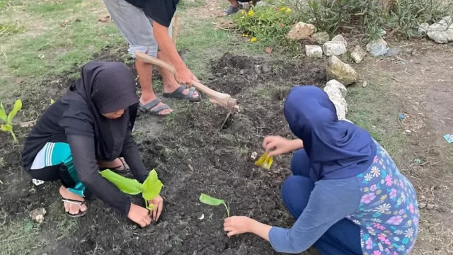 Warga menanam tanaman obat keluarga bersama mahasiswa MMD Universitas Brawijaya di Lamongan
