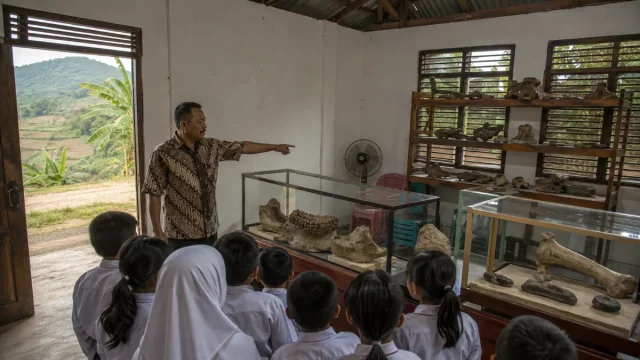 Ilustrasi ruang pamer museum komunitas di pedesaan Jawa Tengah dengan lemari kaca dan rak kayu berisi fosil rahang serta tulang, seorang pemandu berkemeja batik menunjuk vitrin, dan rombongan murid berseragam menyimak