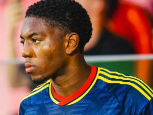 Myles Lewis-Skelly, pemain Arsenal