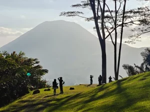 Bukit berumput dengan latar gunung di Tomohon, Sulawesi Utara