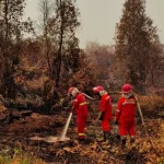 Petugas menangani kebakaran hutan dan lahan di Kalimantan