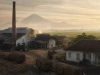 Kompleks pabrik gula Jawa awal abad ke-20 dengan cerobong bata dan hamparan tebu.