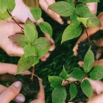 Pelatihan Agribisnis Milenial: 14 Peserta, Tiga Sesi