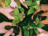 Pelatihan Agribisnis Milenial: 14 Peserta, Tiga Sesi