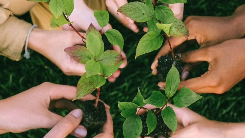 Pelatihan Agribisnis Milenial: 14 Peserta, Tiga Sesi