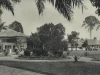 Bangunan rumah sakit dan rumah apoteker berhalaman luas di Binjai pada 1903.