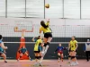 Ilustrasi seorang pemain bola voli melompat dan bersiap memukul bola di atas net pada pertandingan di lapangan indoor