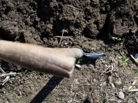 Sekop tertancap pada gundukan tanah gelap yang terbuka tanpa penutup rumput