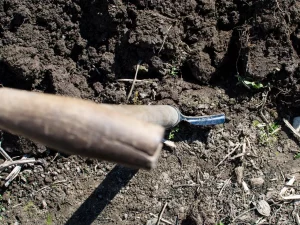 Sekop tertancap pada gundukan tanah gelap yang terbuka tanpa penutup rumput