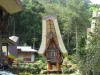 Rumah adat tongkonan dan lumbung padi Toraja dengan dinding berukir geometris berwarna merah, hitam, putih, dan kuning di lereng berhutan
