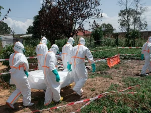 Petugas berpakaian pelindung lengkap mengangkat jenazah korban Ebola di Republik Demokratik Kongo.
