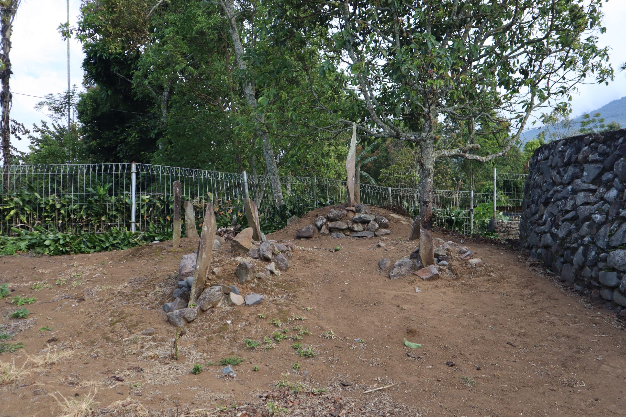 Batu menhir berdiri berkelompok di lahan terbuka Koto Laweh, Tanah Datar.