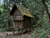 Lumbung kecil di tengah kebun agroforestri suku Dayak di Ketapang, Kalimantan Barat.