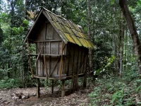 Lumbung kecil di tengah kebun agroforestri suku Dayak di Ketapang, Kalimantan Barat.