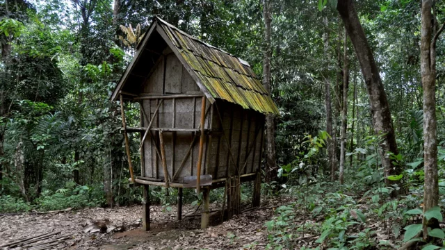 Lumbung kecil di tengah kebun agroforestri suku Dayak di Ketapang, Kalimantan Barat.