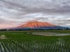 Kerucut Gunung Marapi menjulang di atas hamparan sawah hijau di Sumatera Barat di bawah langit berawan tebal.