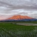 Kerucut Gunung Marapi menjulang di atas hamparan sawah hijau di Sumatera Barat di bawah langit berawan tebal.