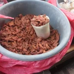 Asam sunti, belimbing wuluh kering khas Aceh, menumpuk dalam baskom plastik