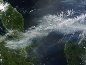 Citra satelit gumpalan asap kebakaran hutan di atas laut dan daratan
