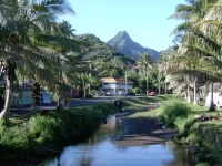 Sungai kecil diapit pohon kelapa dan rumah-rumah di Avarua, Rarotonga, Kepulauan Cook