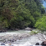 Aliran sungai berbatu di lembah Rasuwa, Nepal