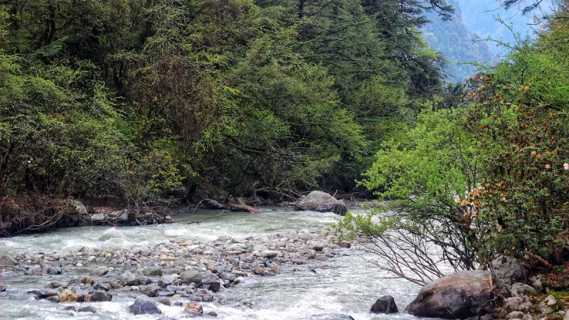Aliran sungai berbatu di lembah Rasuwa, Nepal