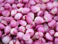 Bawang merah segar dalam keranjang anyaman