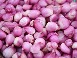 Bawang merah segar dalam keranjang anyaman