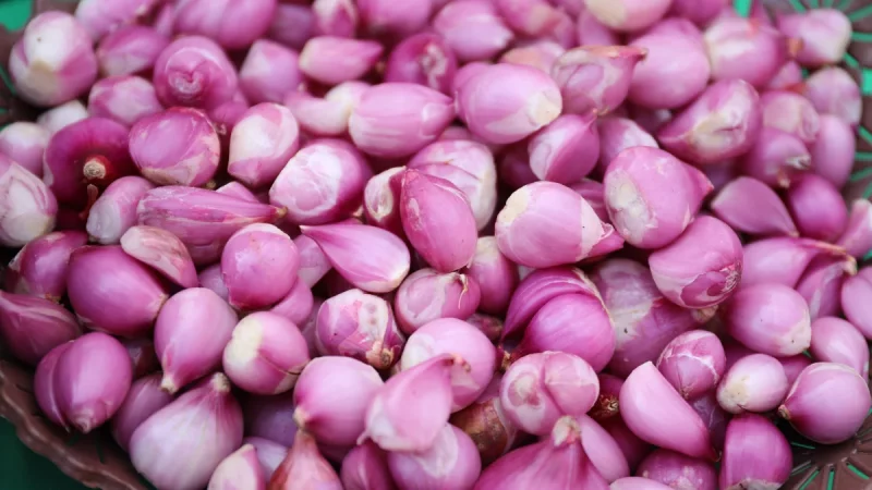 Bawang merah segar dalam keranjang anyaman