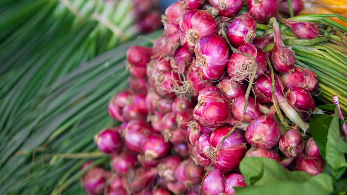 Tumpukan umbi bawang merah segar berdaun hijau di atas lapak sayur