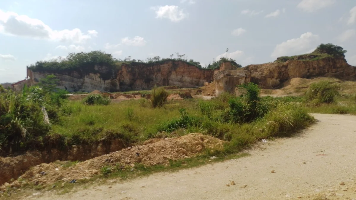 Tebing batu kapur di lahan bekas tambang Klapanunggal, Kabupaten Bogor, Jawa Barat