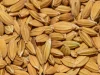 Butiran beras cokelat dalam jarak dekat