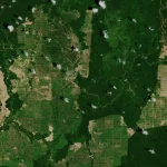 Citra satelit petak perkebunan kelapa sawit di tengah hutan Kalimantan Timur