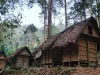Deretan leuit atau lumbung padi berbentuk panggung di tengah hutan kawasan Baduy Luar