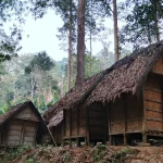 Deretan leuit atau lumbung padi berbentuk panggung di tengah hutan kawasan Baduy Luar