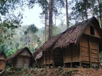 Deretan leuit atau lumbung padi berbentuk panggung di tengah hutan kawasan Baduy Luar