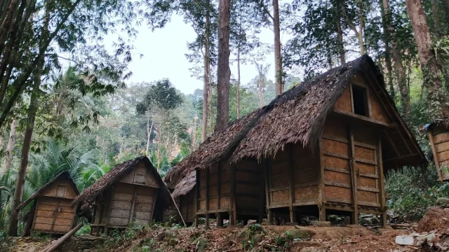 Deretan leuit atau lumbung padi berbentuk panggung di tengah hutan kawasan Baduy Luar