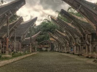 Deretan rumah tongkonan di Toraja, Sulawesi Selatan