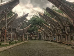 Deretan rumah tongkonan di Toraja, Sulawesi Selatan