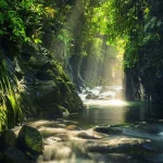 Ilustrasi hutan hujan tropis dengan aliran sungai berbatu di Kabupaten Bengkulu Utara, kabupaten yang juga menaungi Pulau Enggano