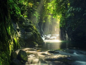 Ilustrasi hutan hujan tropis dengan aliran sungai berbatu di Kabupaten Bengkulu Utara, kabupaten yang juga menaungi Pulau Enggano