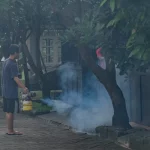Petugas melakukan fogging untuk mencegah penyebaran nyamuk demam berdarah