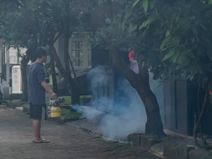 Petugas melakukan fogging untuk mencegah penyebaran nyamuk demam berdarah