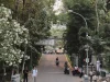 Pejalan kaki dan pengendara di jalan Kampus UGM