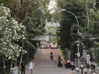 Pejalan kaki dan pengendara di jalan Kampus UGM