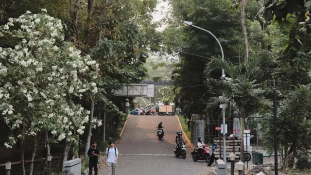 Pejalan kaki dan pengendara di jalan Kampus UGM
