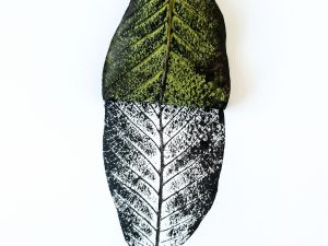 Ilustrasi selembar daun hijau di samping cetakan hitam tulang daun yang sama.